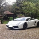 GALLARDO LP 560