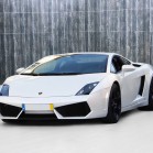 GALLARDO LP 560