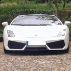 GALLARDO LP 560